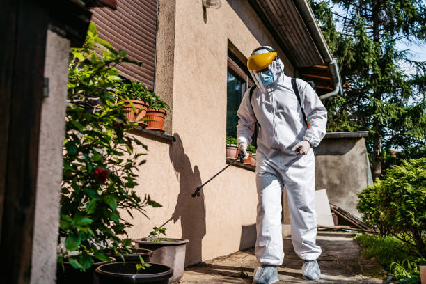 Best Affordable Pest Control Services  in Lenwood, CA