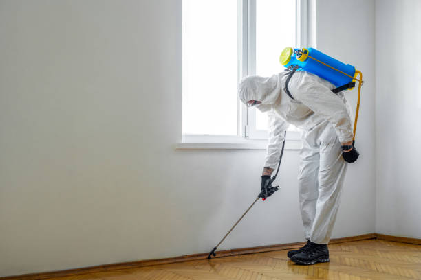 Best Best Pest Control Companies  in Lenwood, CA