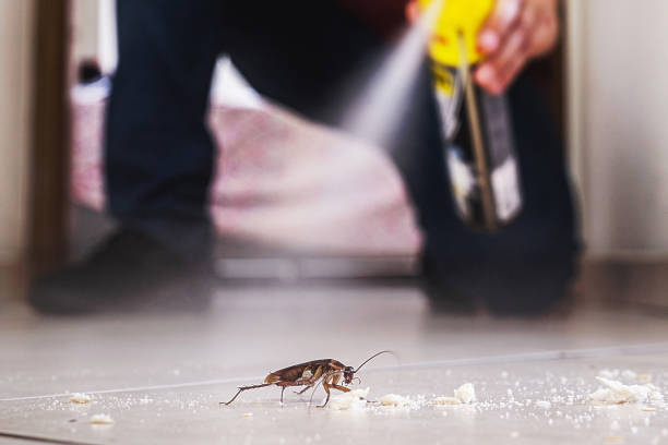 Best Pest Removal Services  in Lenwood, CA