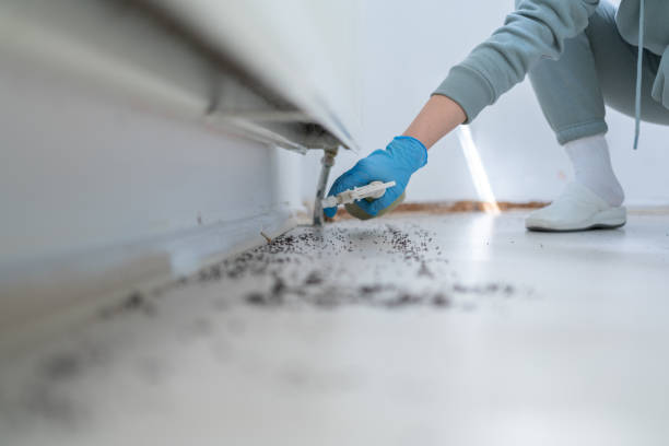 Best Best Pest Control Companies  in Lenwood, CA